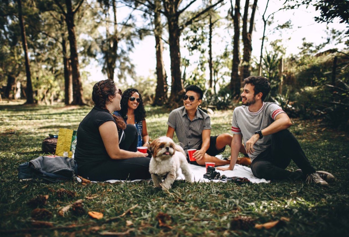 A small group of friends sharing a picnic outdoors